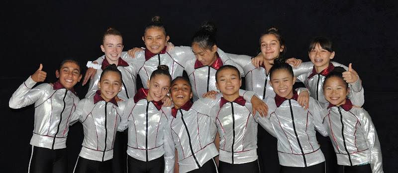 Academy Sport and Fitness (ASF Gymnastics) in Richmond Hill