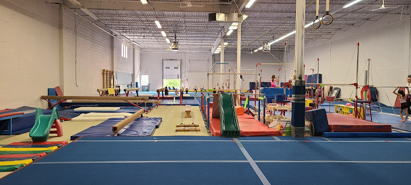 Discovery Gymnastics in Toronto