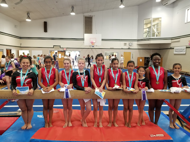 Dreams Gymnastics Inc. in Surrey