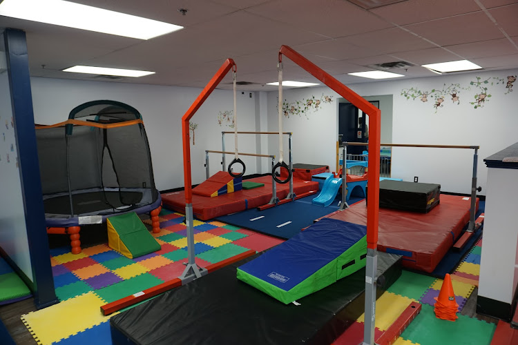 Edge Gymnastics in Kanata