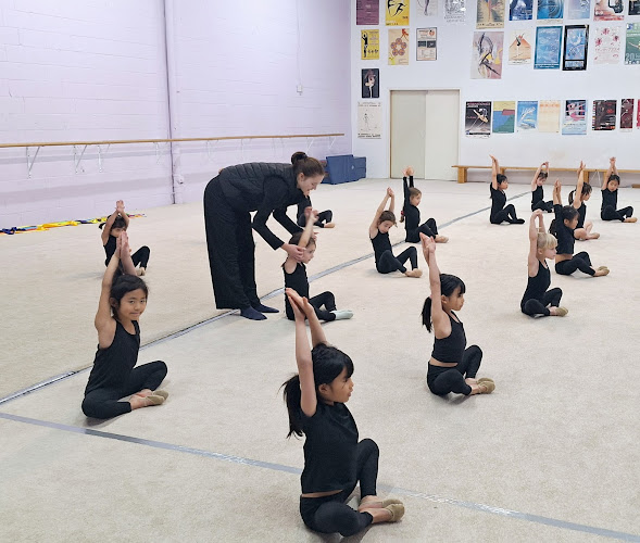 Elite Rhythmic Centre in Thornhill