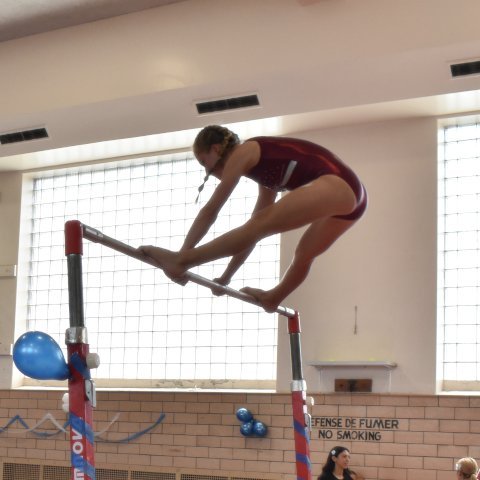Club de gymnastique Flex-Art in Montreal