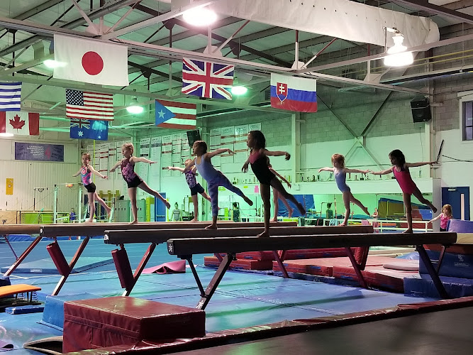 Gemini Gymnastics in Oshawa