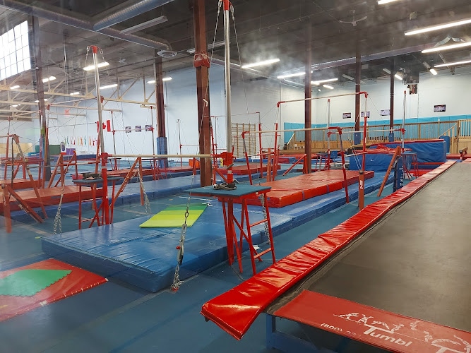 Gyros Gymnastics in Toronto