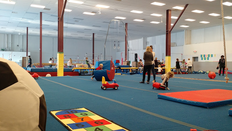 Salta Gymnastics Club in Medicine Hat